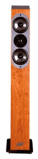 Акустические системы - ASW Loudspeaker Genius 300