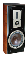 Акустические системы - DALI Euphonia RS 3