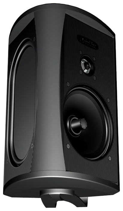 Акустические системы - Definitive Technology AW 5500