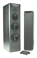 Акустические системы - Meridian DSP5500MkII