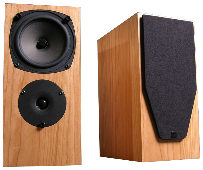 Акустические системы - Rega RS1
