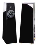 Акустические системы - Verity Audio Tamino Loudspeaker