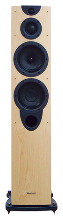 Акустические системы - Wharfedale Evo-2 50