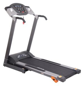 Беговые дорожки - Ferrum TM 8420A