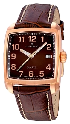 Наручные часы - Candino C4373_4