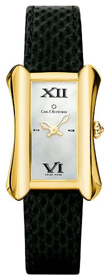 Наручные часы - Carl F. Bucherer CF.B_10701.01.71.01