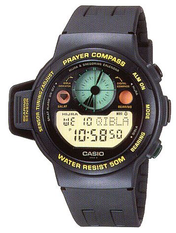 Наручные часы - Casio CPW-310-1V