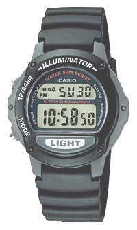Наручные часы - Casio LW-22H-1A