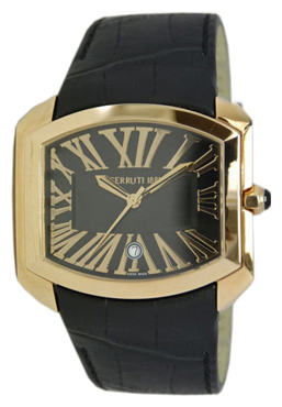 Наручные часы - Cerruti 1881 CT100731D01