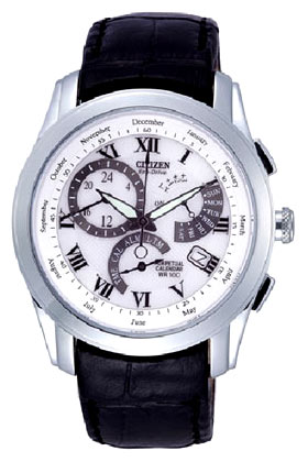 Наручные часы - Citizen BL8001-01A
