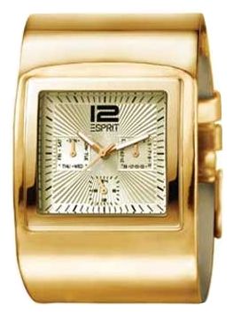 Наручные часы - Esprit ES101612003