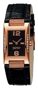 Наручные часы - Esprit ES101762007