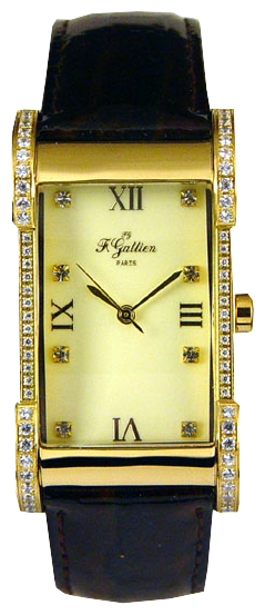 Наручные часы - F.Gattien S457.GBR