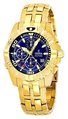 Наручные часы - Festina F16119/2