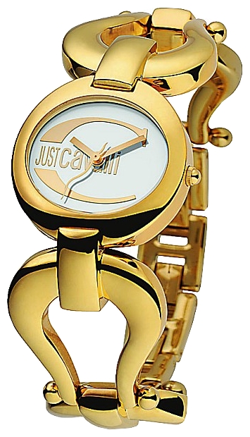 Наручные часы - Just Cavalli 7253_109_745