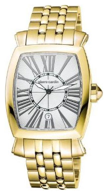 Наручные часы - Pierre Cardin PC100251F03
