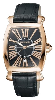 Наручные часы - Pierre Cardin PC100261F03