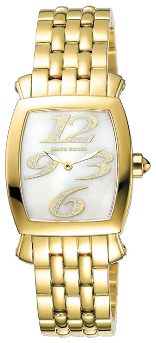 Наручные часы - Pierre Cardin PC100292F02