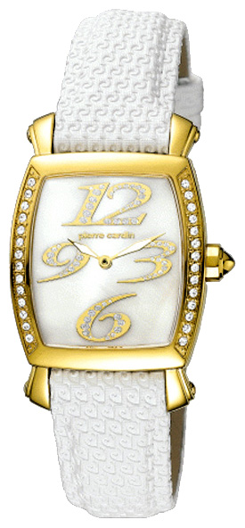Наручные часы - Pierre Cardin PC100302F03