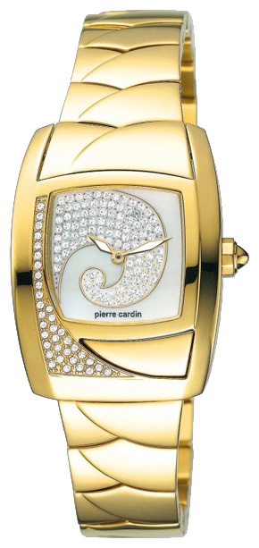Наручные часы - Pierre Cardin PC100332F03