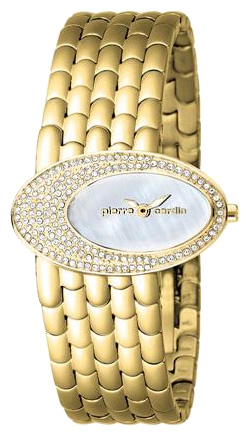 Наручные часы - Pierre Cardin PC100652F04