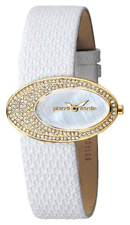 Наручные часы - Pierre Cardin PC100662F01