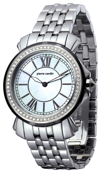 Наручные часы - Pierre Cardin PC100742F02