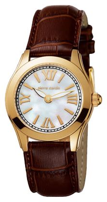 Наручные часы - Pierre Cardin PC102922F02