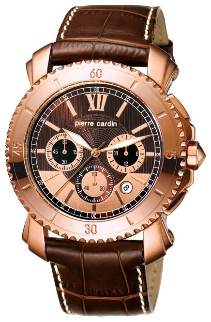 Наручные часы - Pierre Cardin PC103601F01