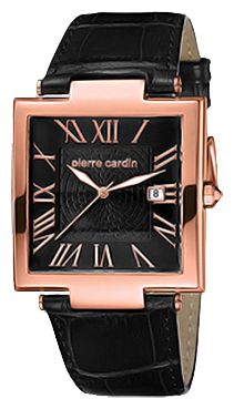 Наручные часы - Pierre Cardin PC103951F04