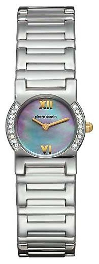 Наручные часы - Pierre Cardin PC56022.427011