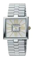 Наручные часы - Pierre Cardin PC68671.417011