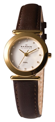 Наручные часы - Skagen 107SGLD