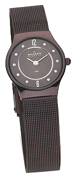 Наручные часы - Skagen 233XSMM