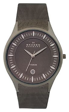 Наручные часы - Skagen 342XLTTM
