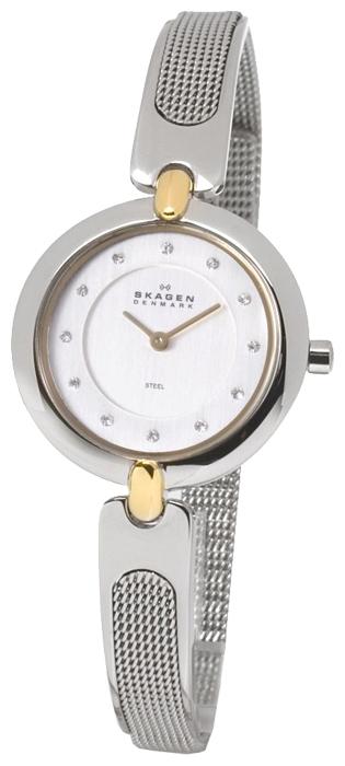 Наручные часы - Skagen 354SGSC