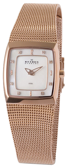 Наручные часы - Skagen 380XSRR1