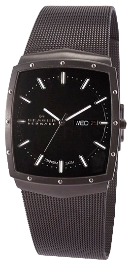 Наручные часы - Skagen 396LTMB