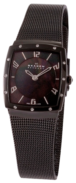 Наручные часы - Skagen 396XSBB