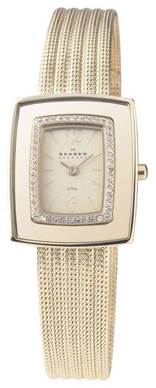 Наручные часы - Skagen 463SGG