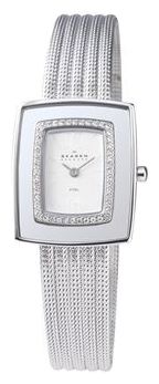 Наручные часы - Skagen 463SSS
