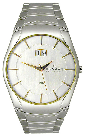 Наручные часы - Skagen 531XLSGX