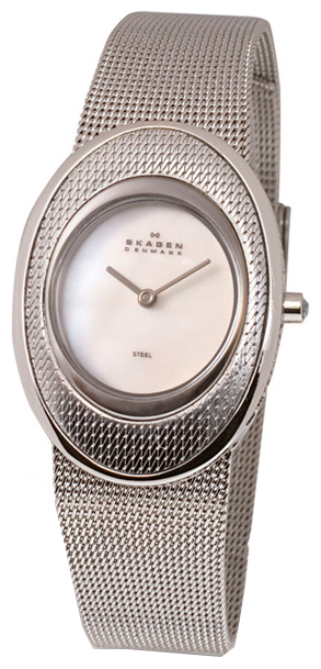 Наручные часы - Skagen 548SSSD