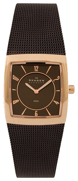 Наручные часы - Skagen 563XSRM