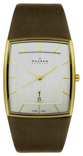 Наручные часы - Skagen 567LGLD1