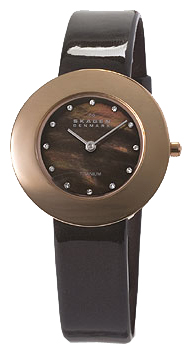 Наручные часы - Skagen 569STRLD