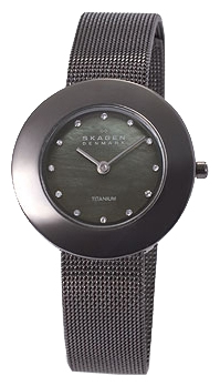 Наручные часы - Skagen 569STTM