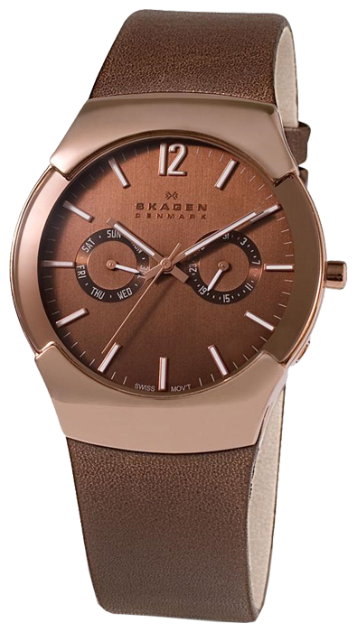 Наручные часы - Skagen 583XLRLM