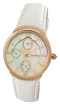 Наручные часы - Skagen 586SRLW