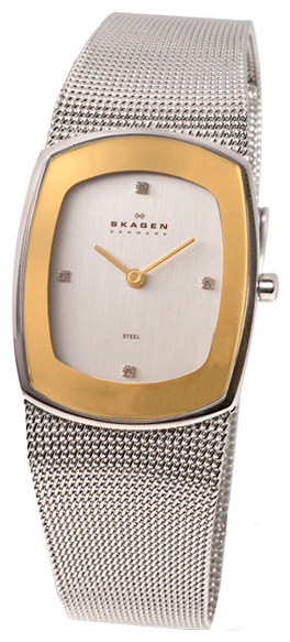 Наручные часы - Skagen 649SGSC
